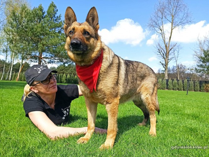 mama-grzeczna-lagodna-sunia-w-typie-onka-do-adopcji-41996-psy.jpg