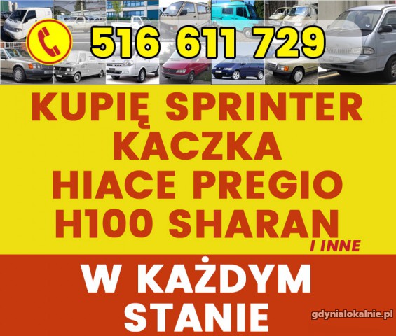 skup-mb-sprinter-kaczka-hiace-hyundai-h100-gotowka-44609-sprzedam.jpg