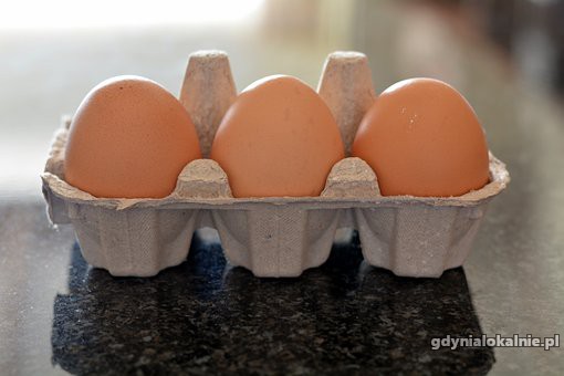 Pakowanie jajek- HOLANDIA od zaraz