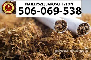 Znakomitej jakości TYTOŃ 80 PLN / 1KG