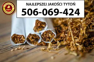 Bardzo Dobrej Jakości TYTOŃ 85 PLN/1KG Bardzo Dobrej Jakości TYTOŃ 85 PLN/1KG
