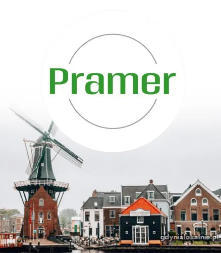 Pracownik produkcji i renowacji palet Zeewolde