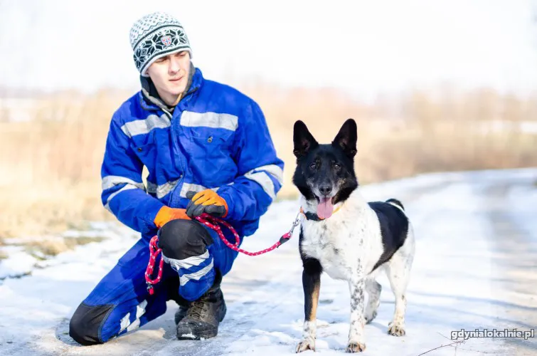 latek-madry-wesoly-wychowany-psiak-54065-zdjecia.webp