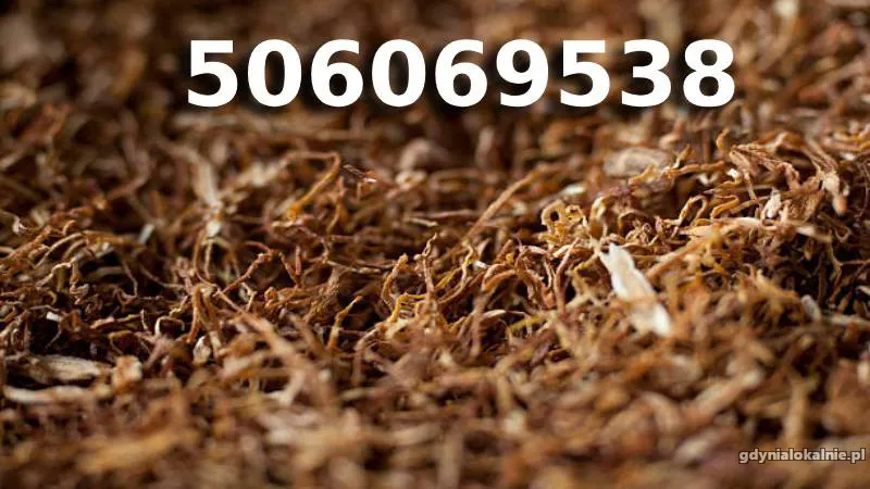 Bardzo Dobrej Jakości TYTOŃ 85 PLN/1KG