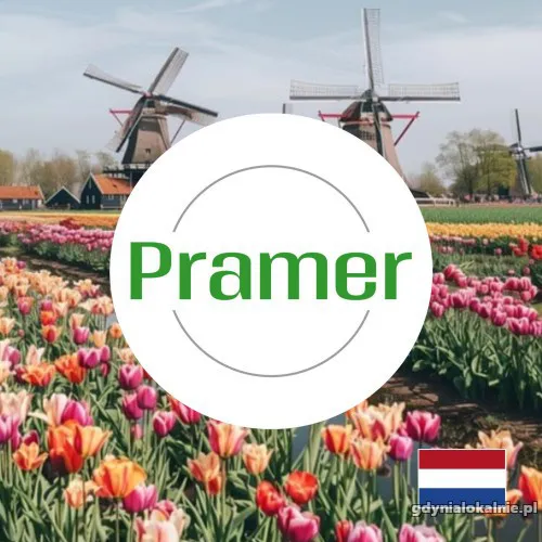 Pracownik produkcji szaszłyków (Tilburg) - Holandia